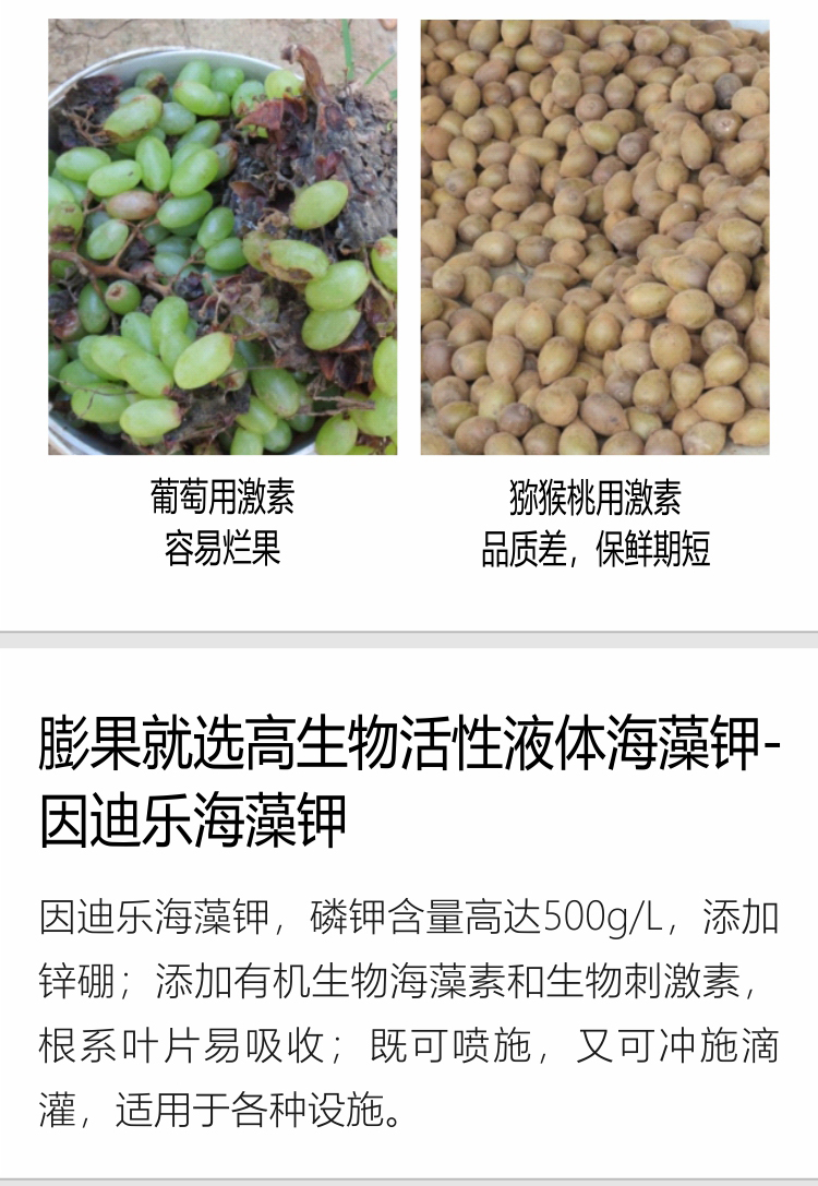 因迪乐海藻钾_03.jpg