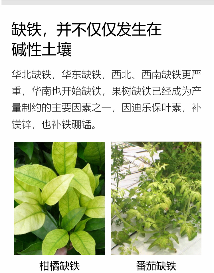 因迪乐有机保叶素_08.jpg