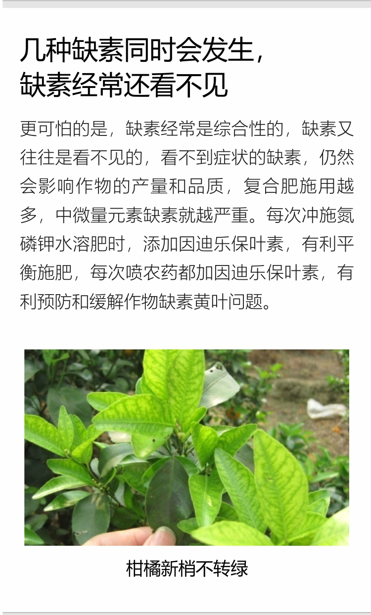 因迪乐有机保叶素_10.jpg