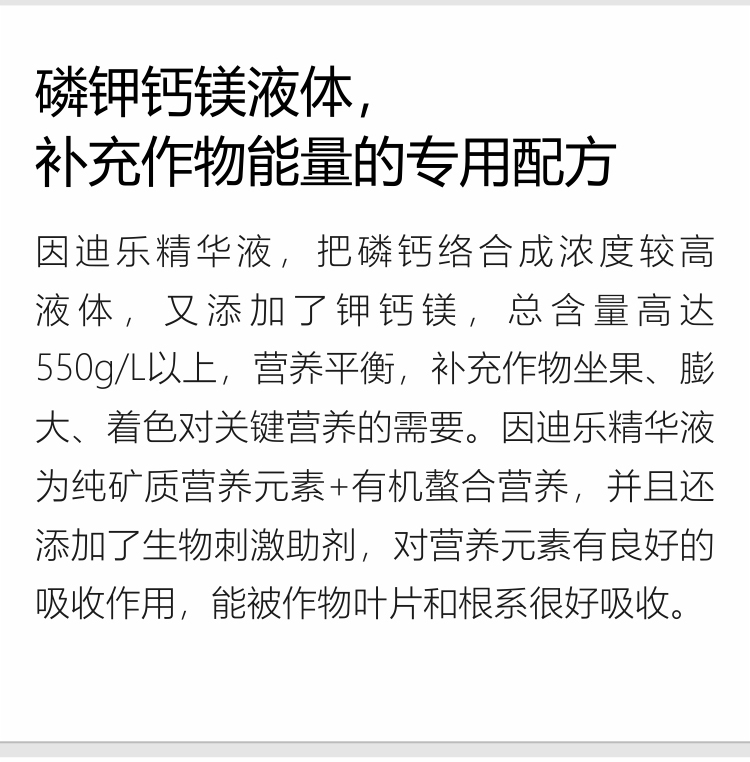 因迪乐精华液(1)_02.jpg