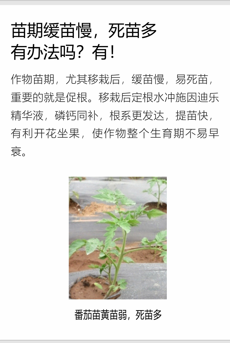 因迪乐精华液(1)_04.jpg