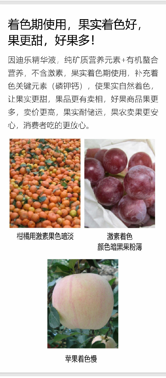 因迪乐精华液(1)_06.jpg