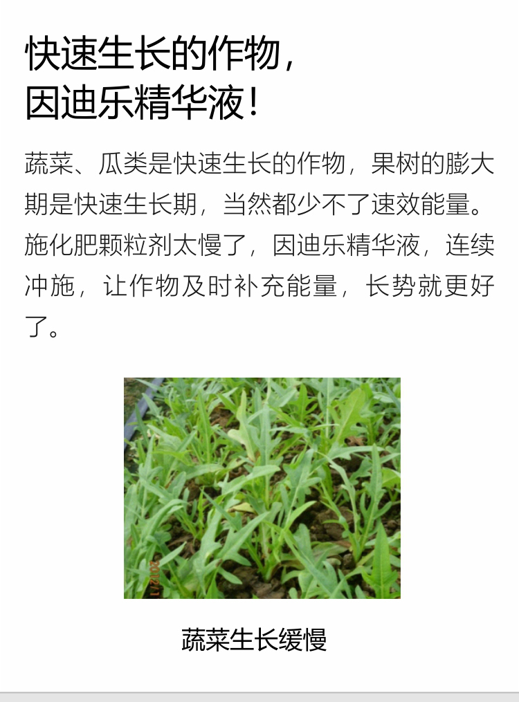 因迪乐精华液(1)_07.jpg