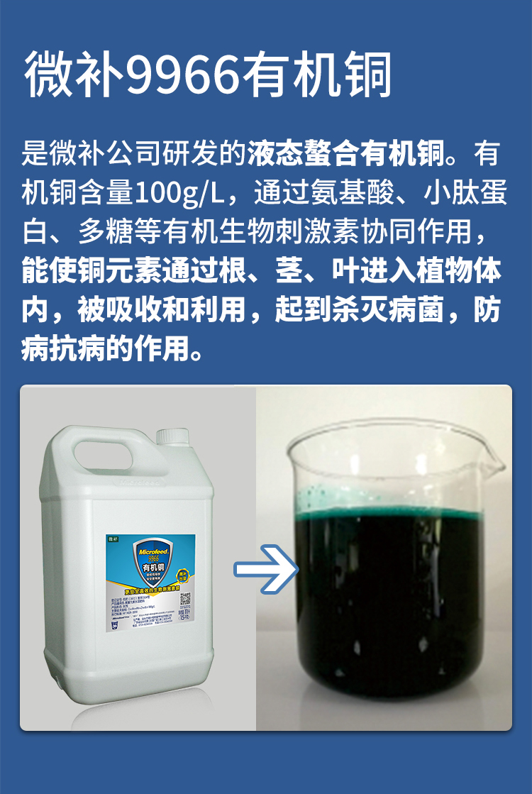 微补9966有机铜_07.jpg