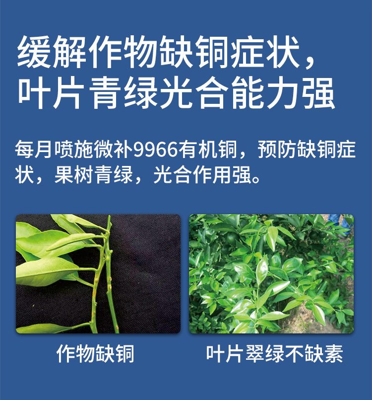 微补9966有机铜_09.jpg