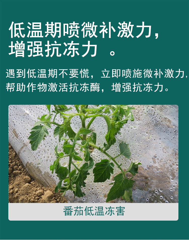 微补激力_05.jpg