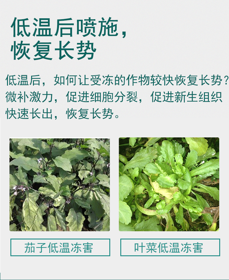 微补激力_06.jpg