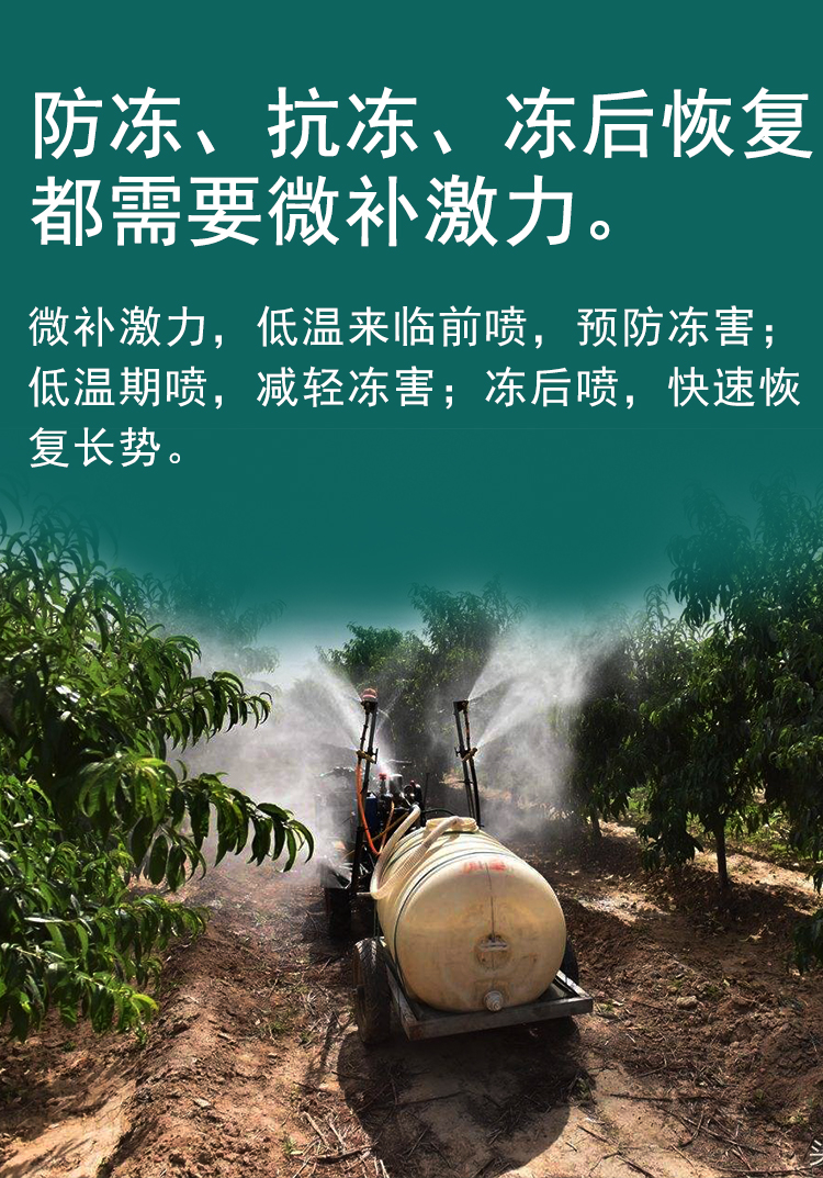 微补激力_07.jpg