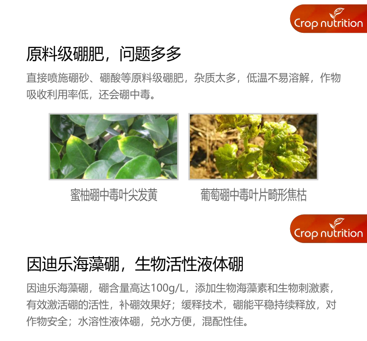 因迪乐有机海藻硼_02.jpg
