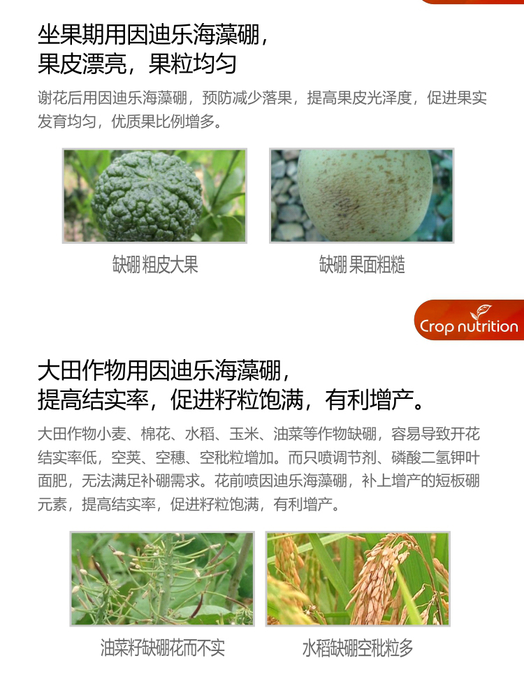 因迪乐有机海藻硼_04.jpg