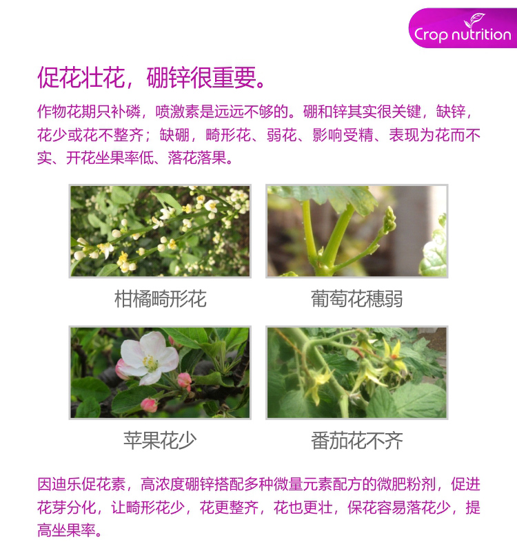 因迪乐有机促花素_02.jpg