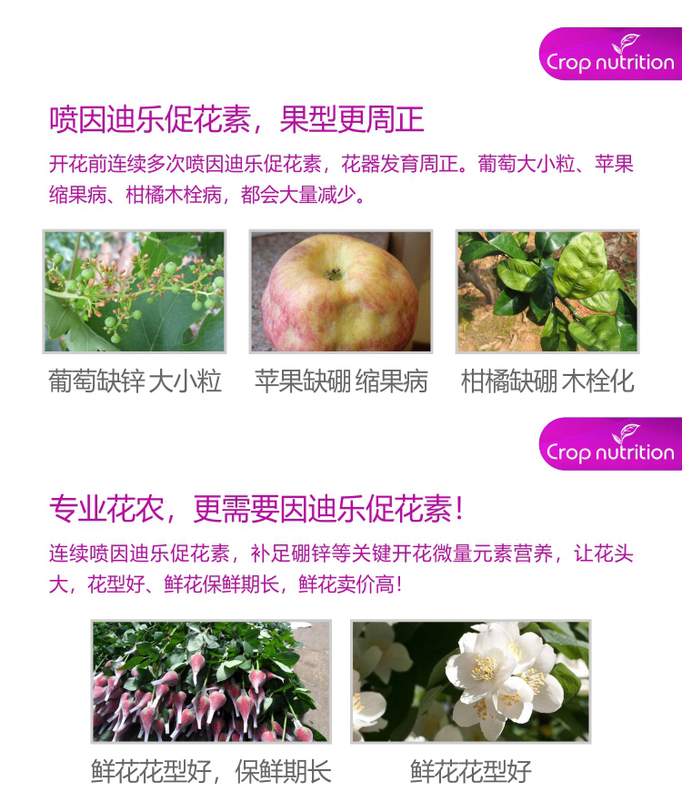 因迪乐有机促花素_05.jpg