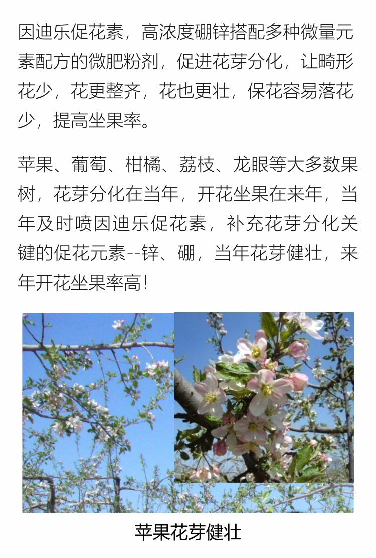 因迪乐有机促花素手机_03.jpg