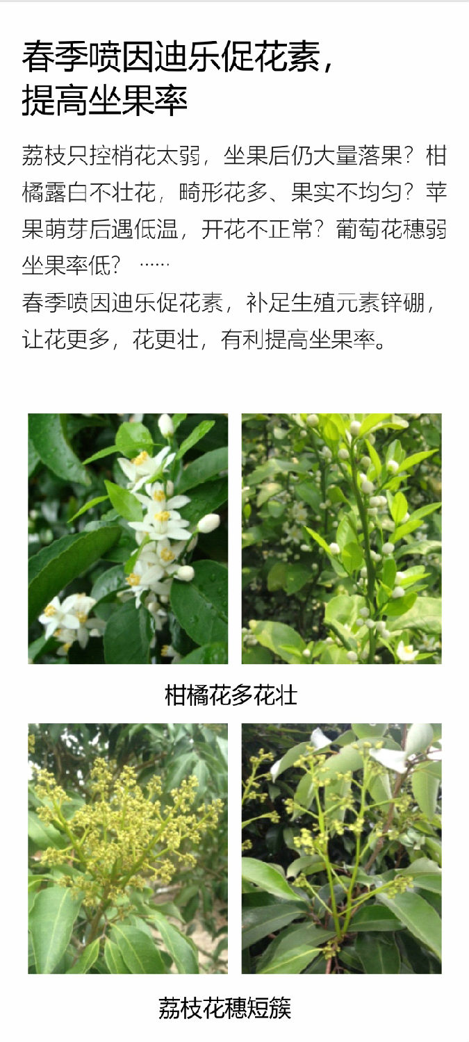 因迪乐有机促花素手机_05.jpg