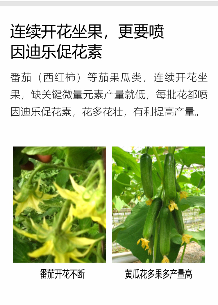 因迪乐有机促花素手机_06.jpg