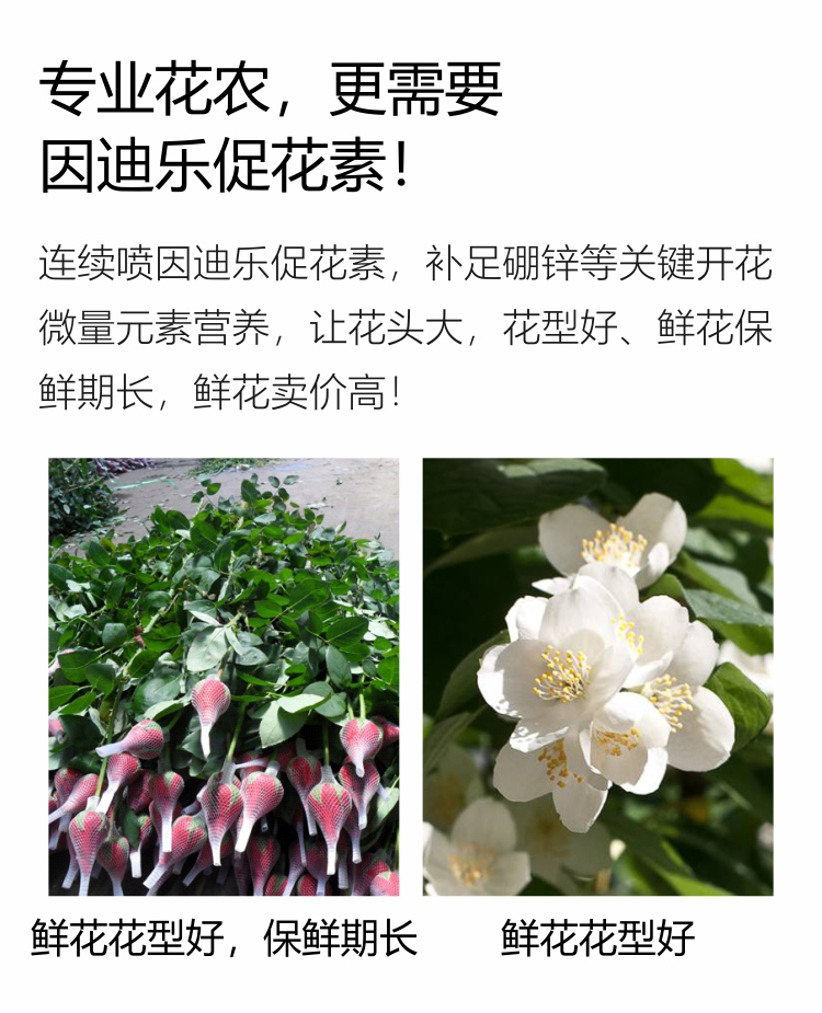 因迪乐有机促花素手机_08.jpg