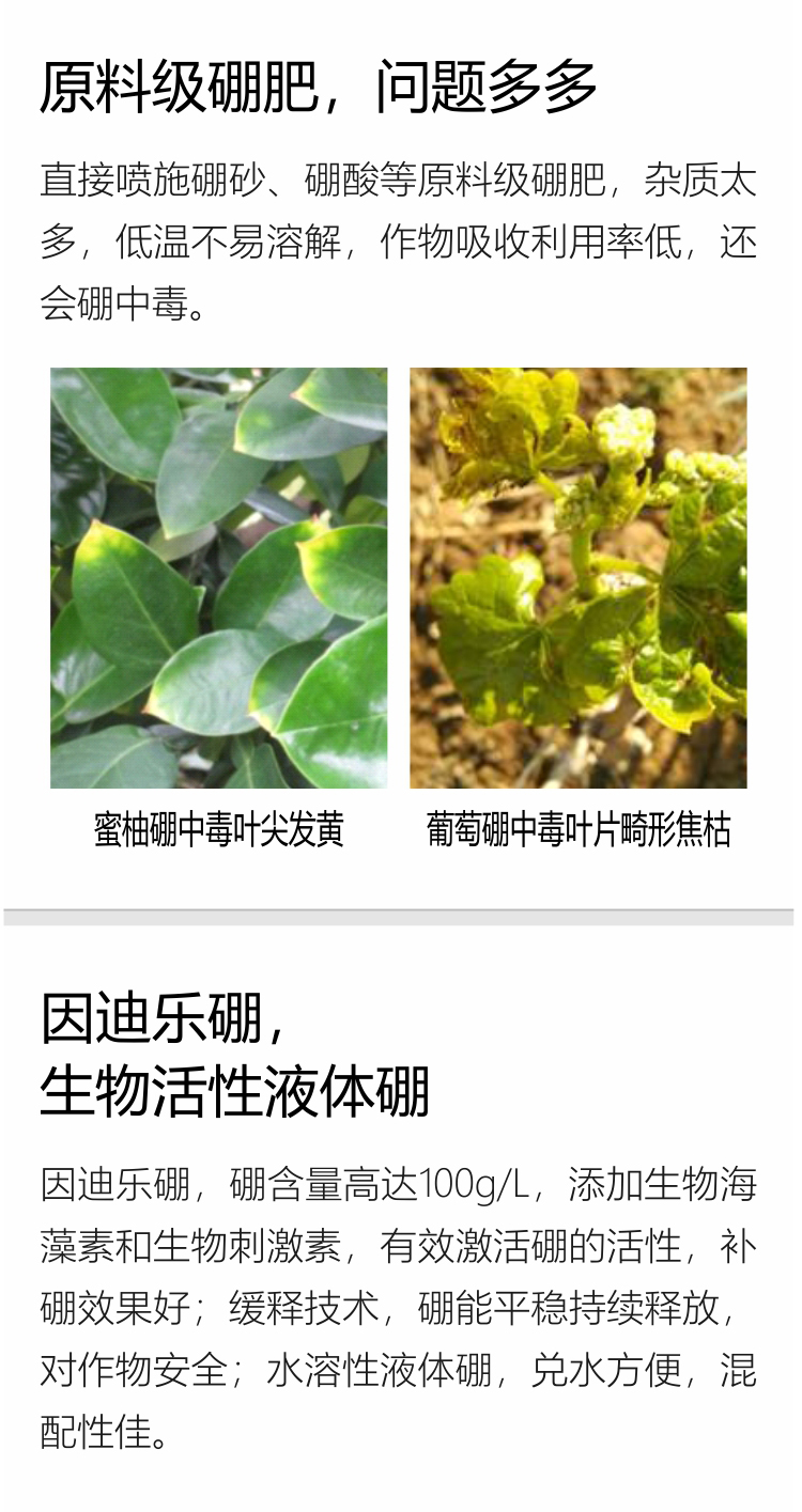 因迪乐有机海藻硼750_03.jpg