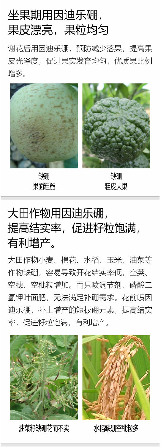 因迪乐有机海藻硼750_06.jpg
