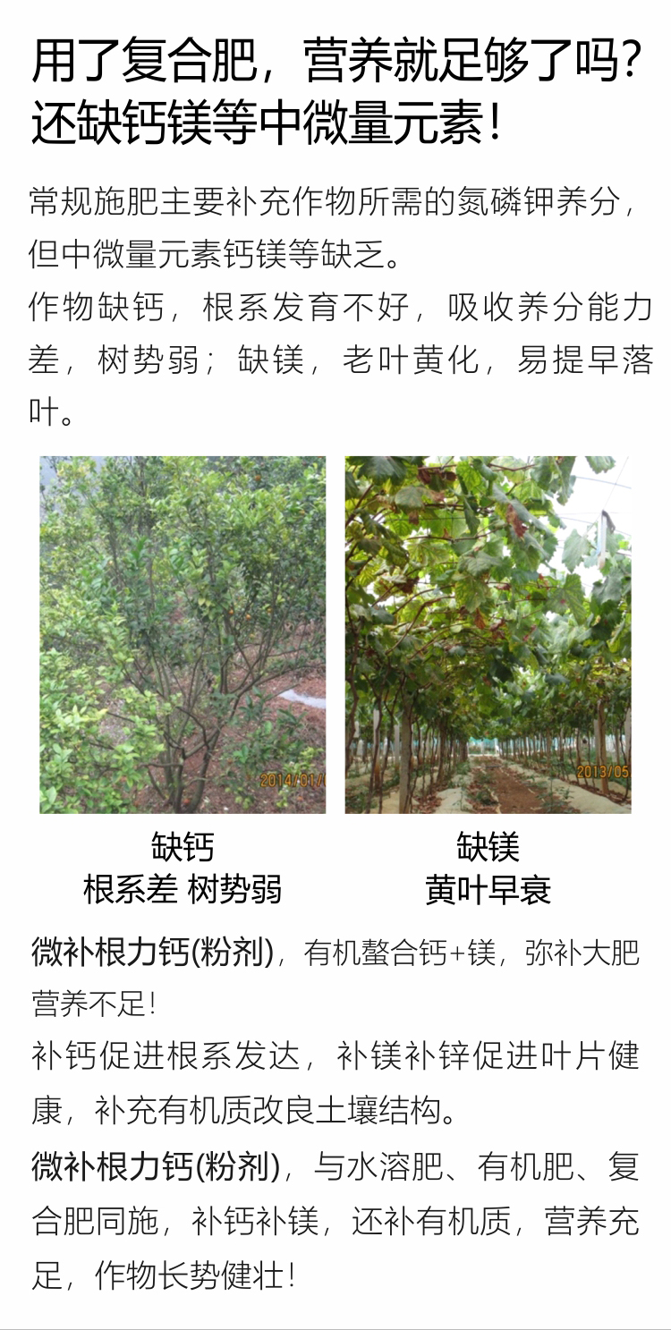 微补根力钙（粉剂）750_02.jpg