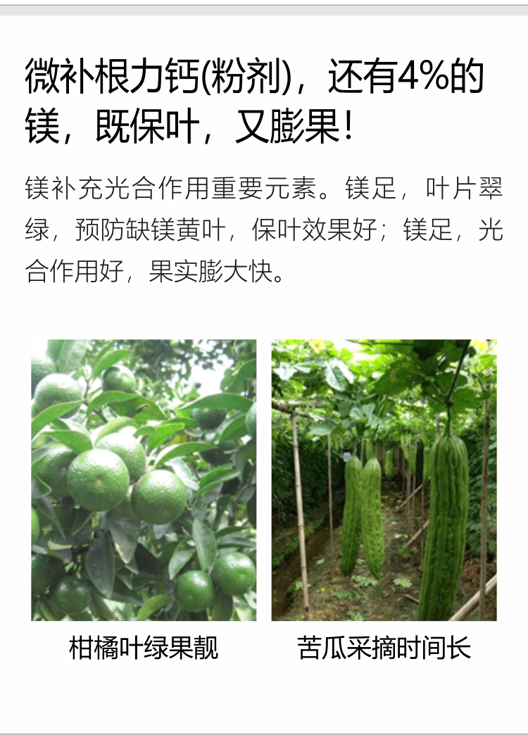 微补根力钙（粉剂）750_04.jpg