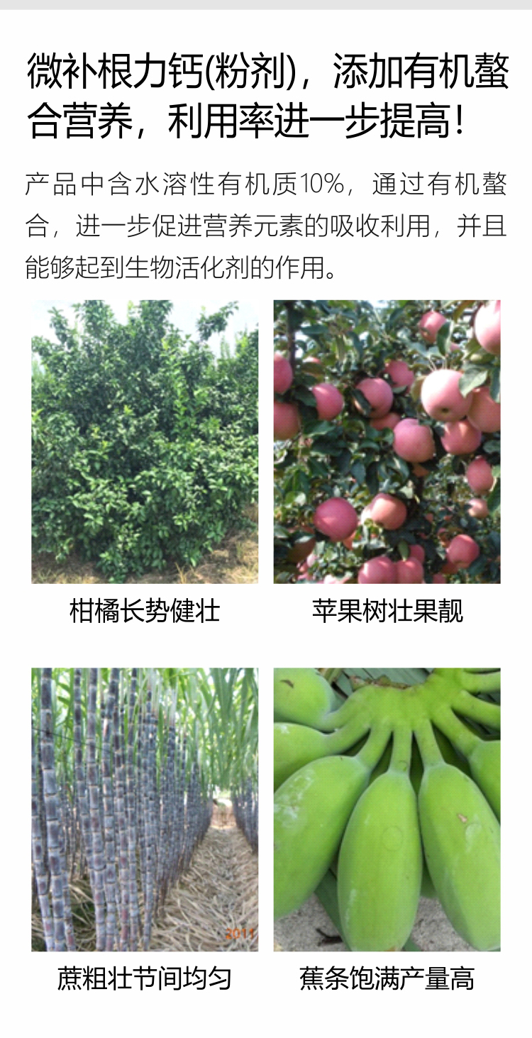 微补根力钙（粉剂）750_05.jpg