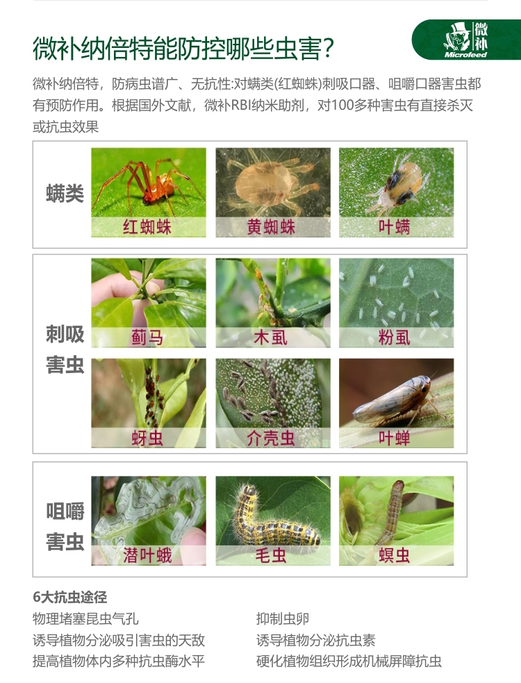 微补RBI纳米助剂9_03.jpg