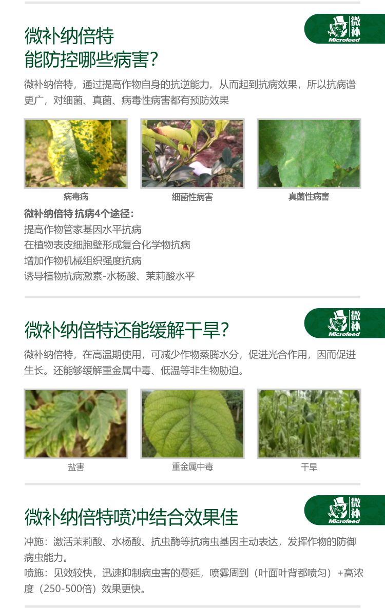 微补RBI纳米助剂9_04.jpg
