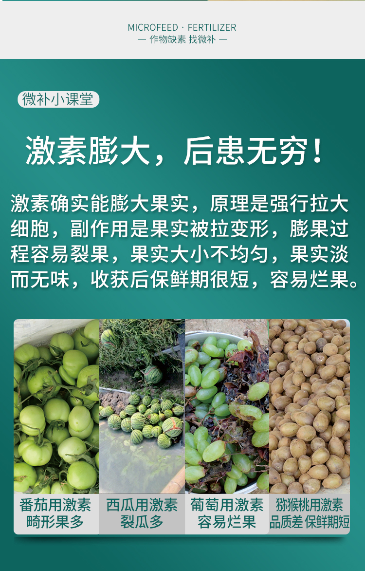 微补壮力_02.jpg