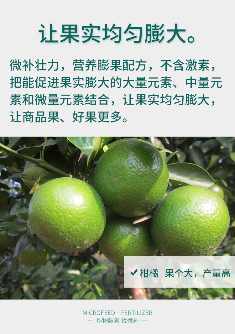 微补壮力_04.jpg
