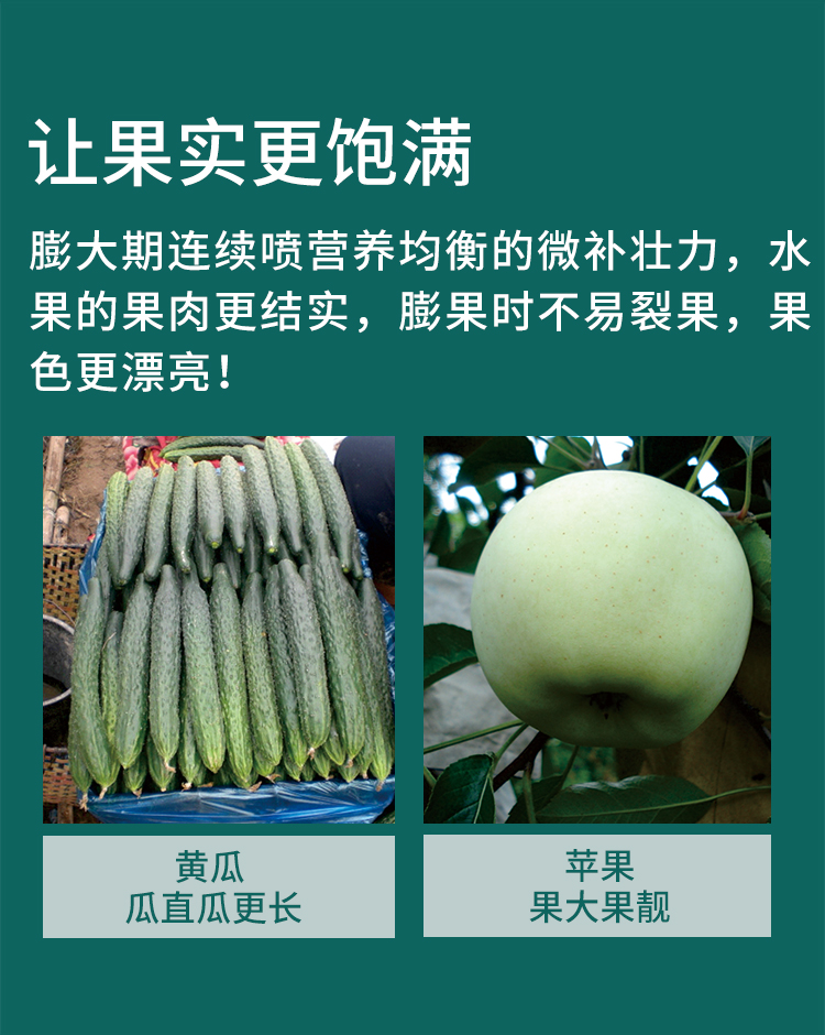 微补壮力_05.jpg