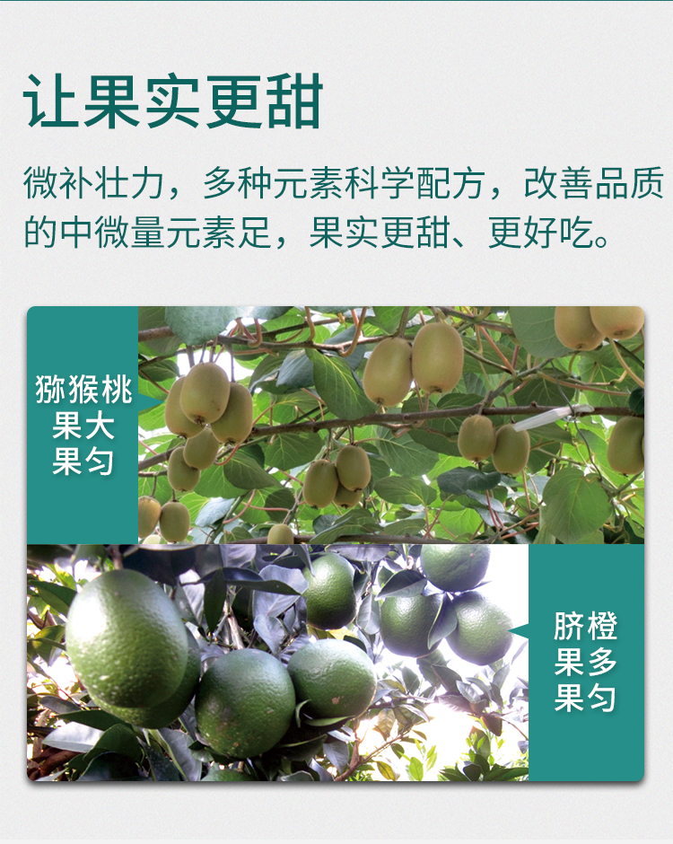 微补壮力_06.jpg