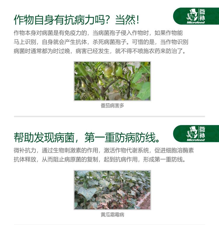 微补抗力2750_02.jpg