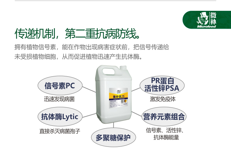 微补抗力2750_03.jpg
