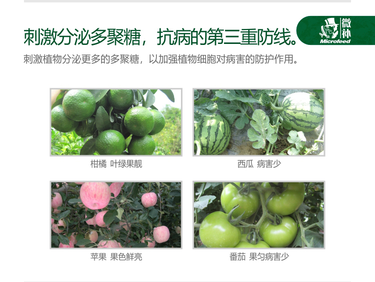 微补抗力2750_04.jpg
