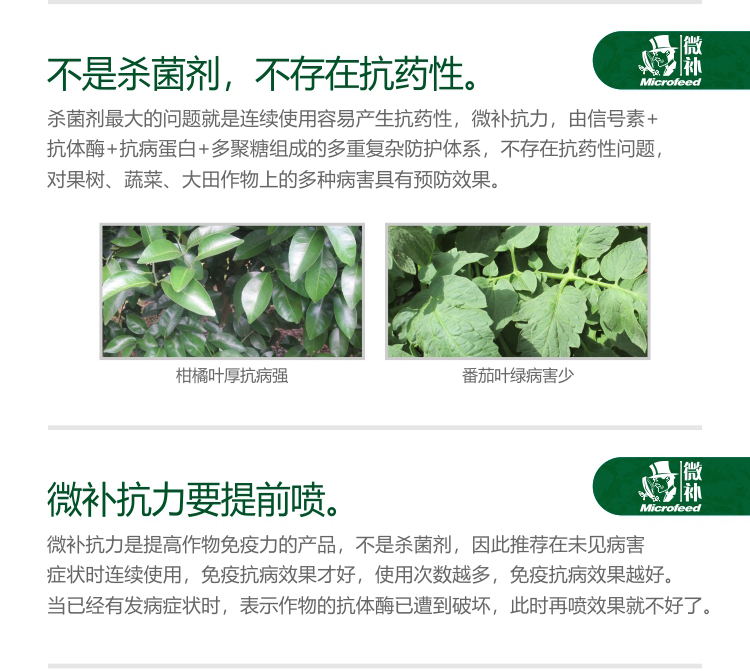 微补抗力2750_05.jpg
