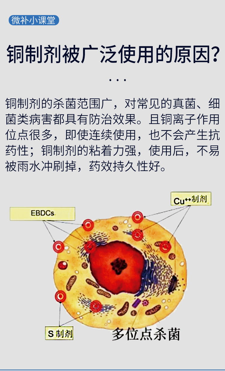 微补9966有机铜_04.jpg