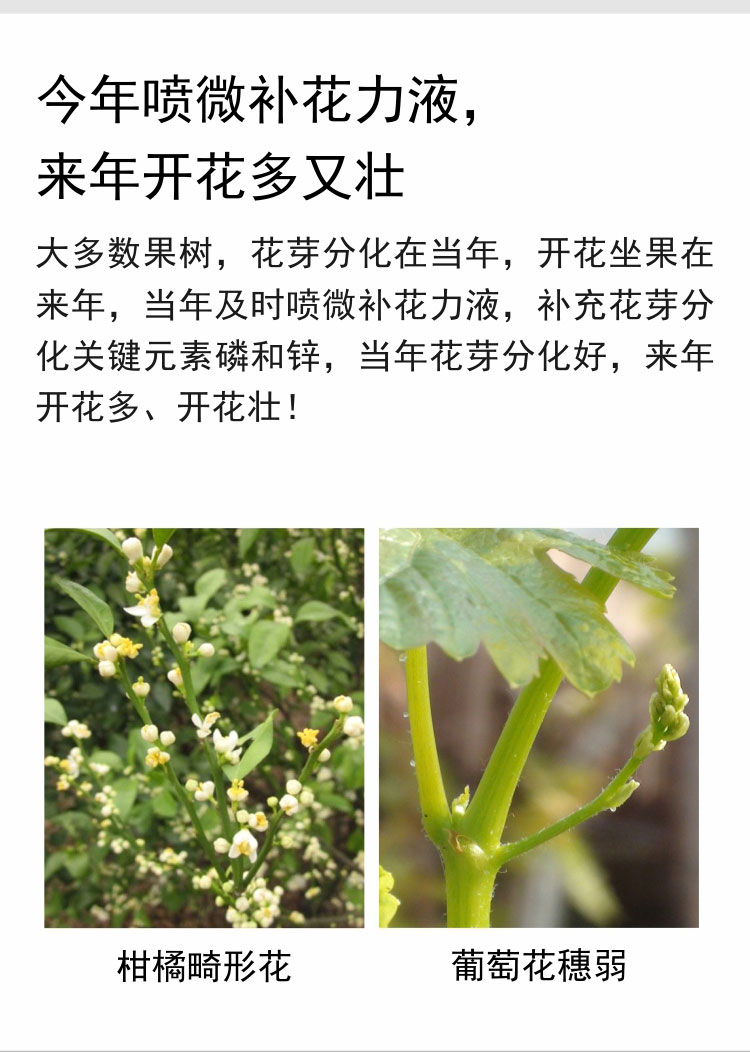 微补花力液750_03.jpg