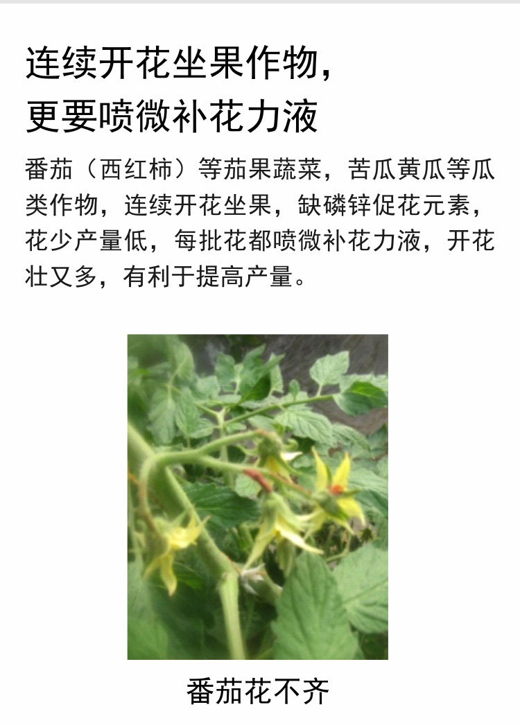 微补花力液750_05.jpg