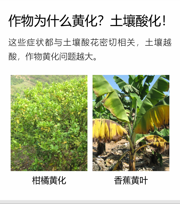 微补调力34_02.jpg