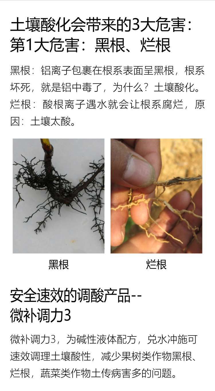 微补调力34_04.jpg