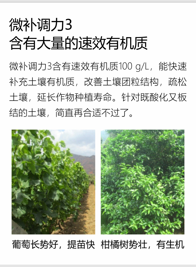 微补调力34_08.jpg