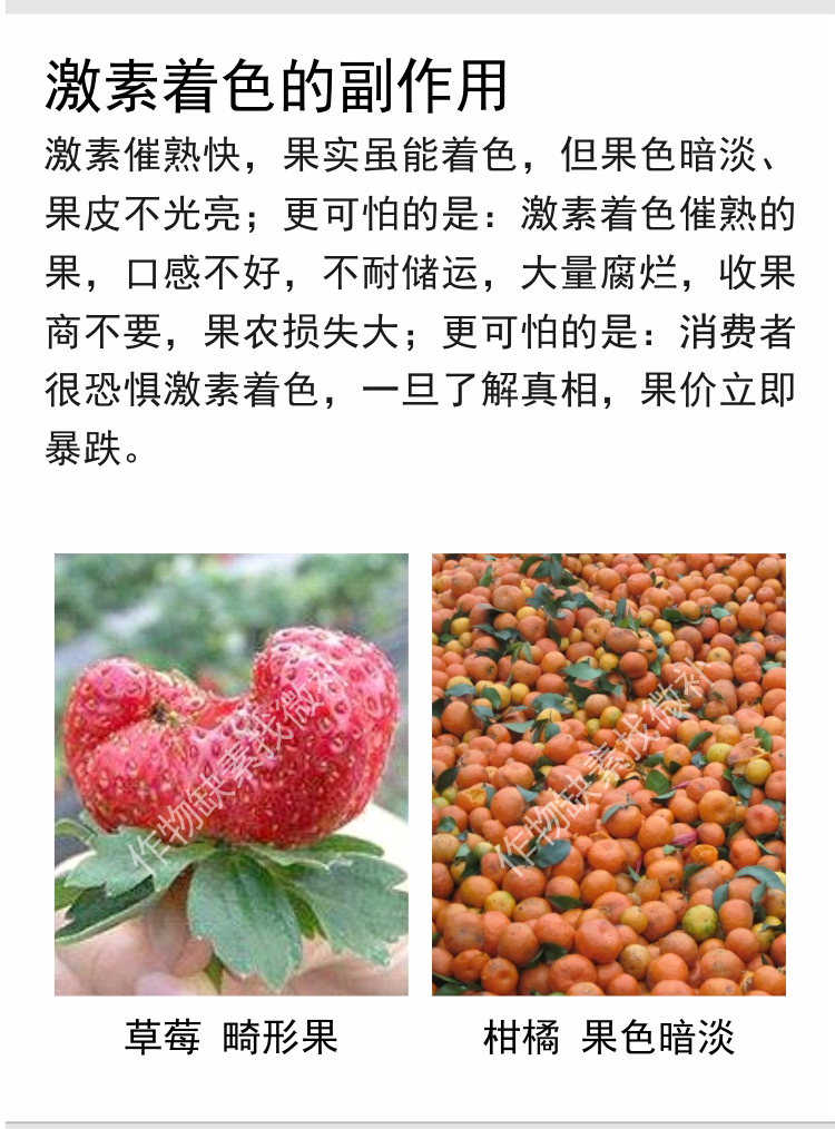 微补红果力(7501)_02.jpg