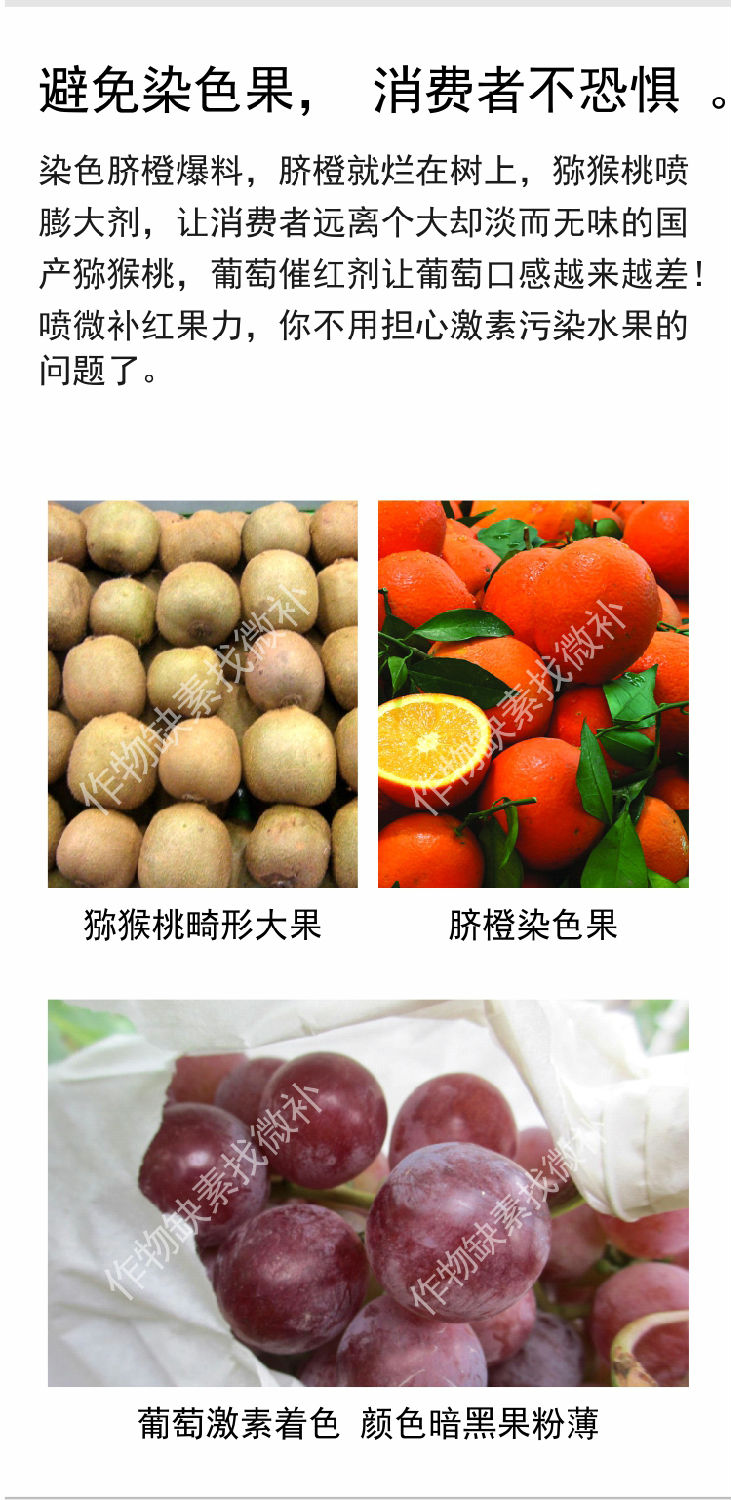 微补红果力(7501)_05.jpg