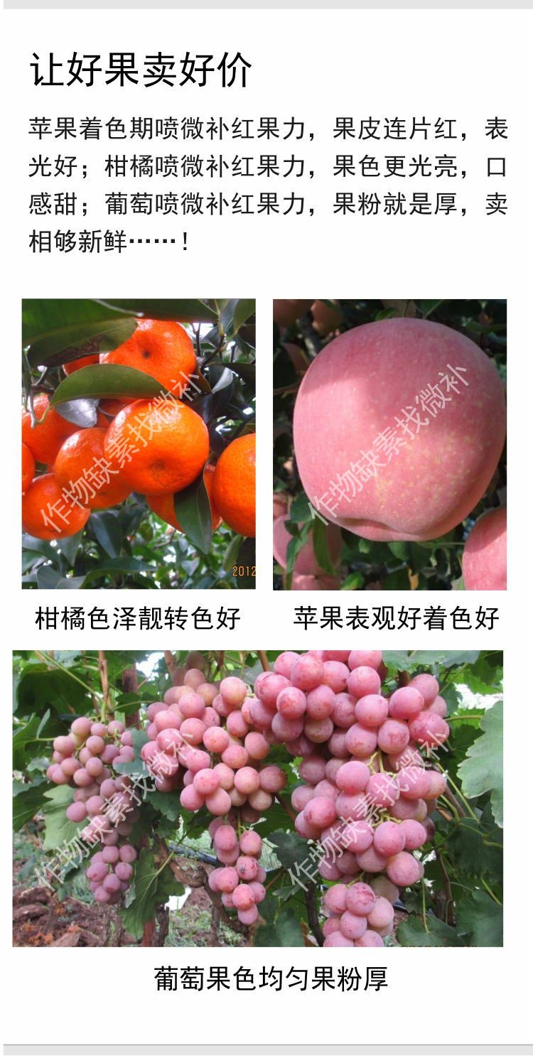 微补红果力(7501)_06.jpg