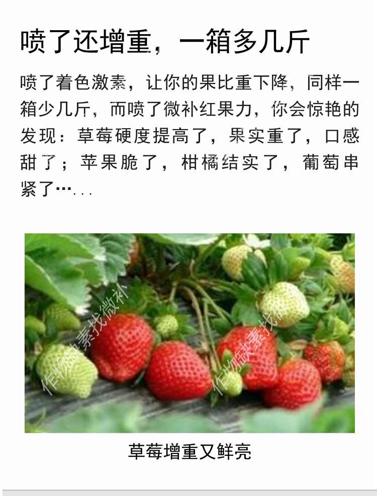 微补红果力(7501)_07.jpg