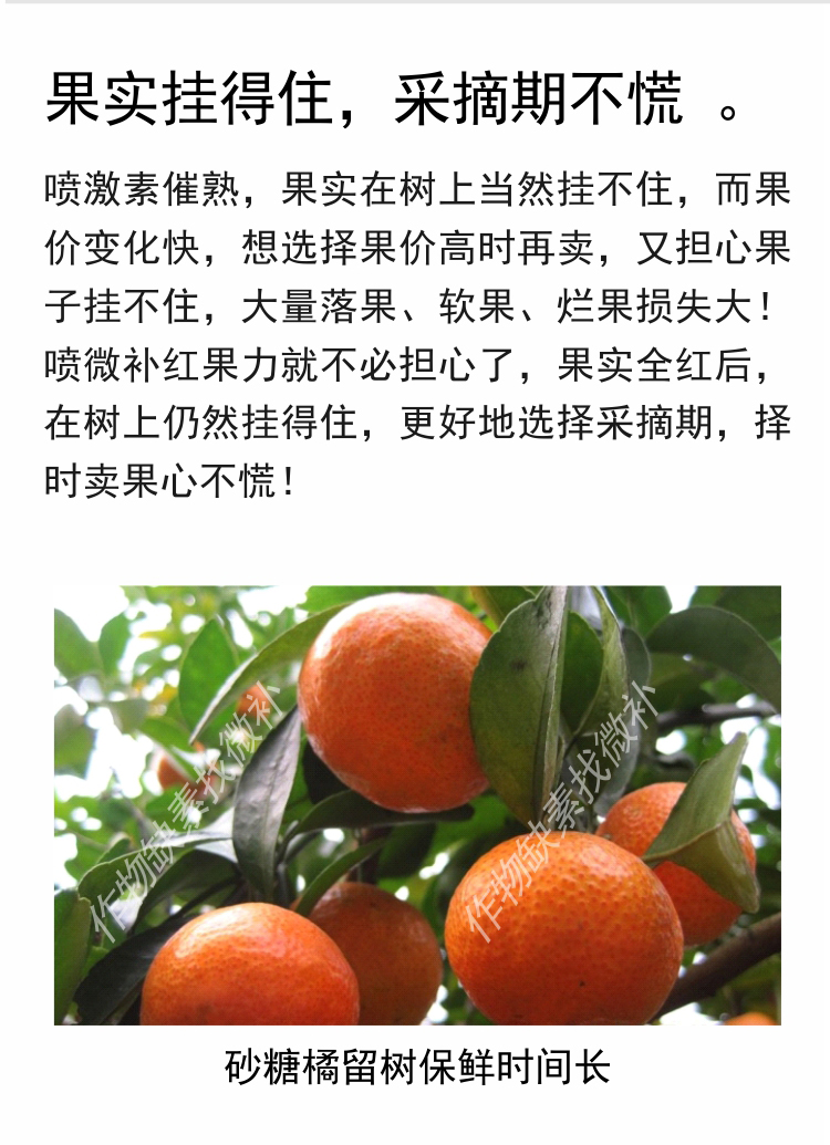 微补红果力(7501)_08.jpg