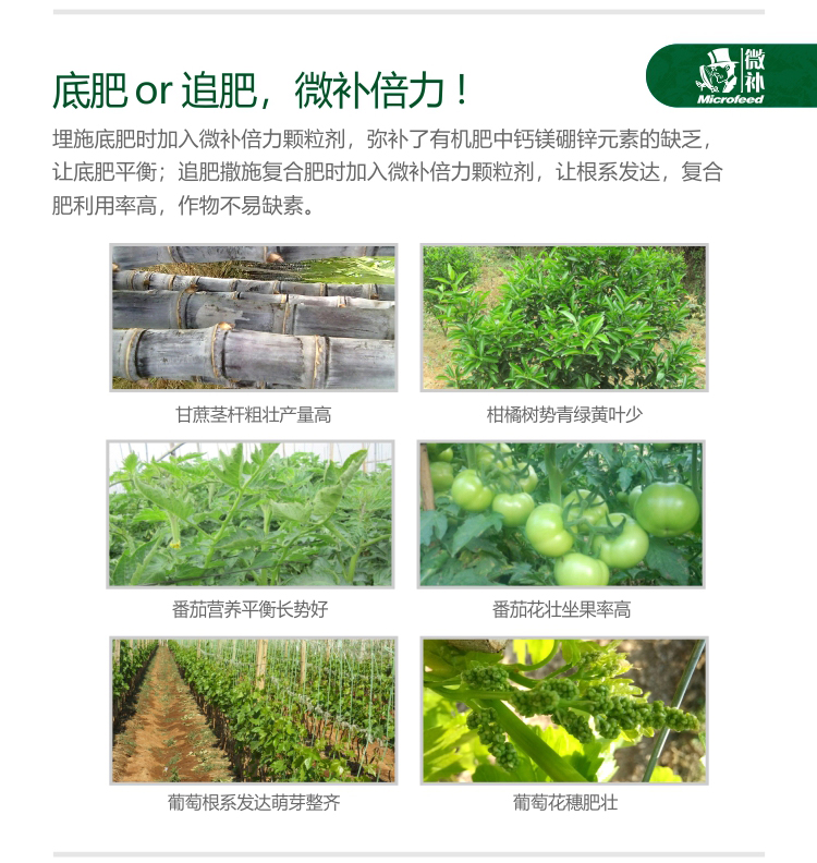 微补倍力25官网_04.jpg