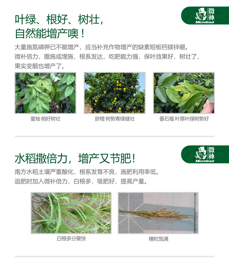 微补倍力25官网_05.jpg