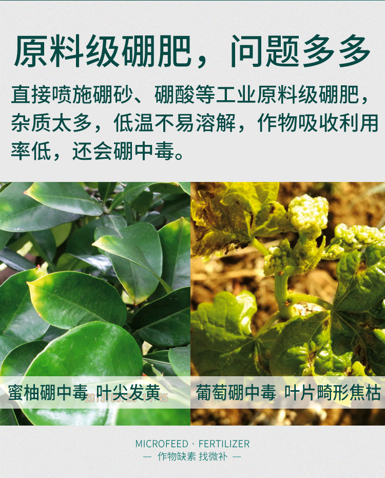 微补硼力_03.jpg