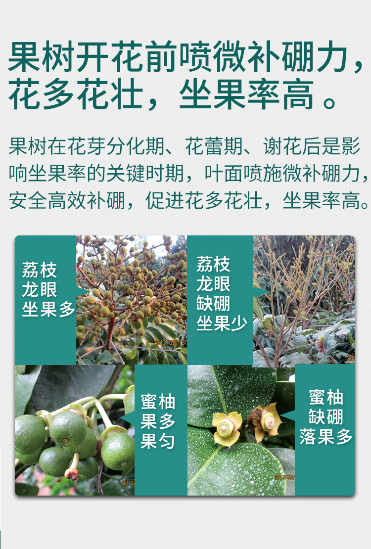 微补硼力_06.jpg